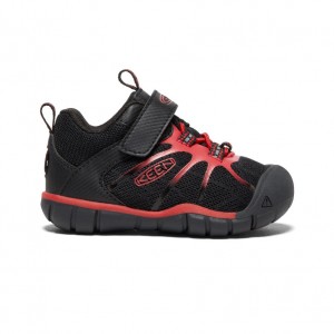 Black Red Toddlers Keen Chandler 2 CNX Sneakers | NHA2993LV