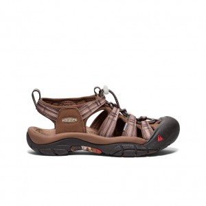 Dark Brown Women Keen Newport Retro x Fuji Rock Sandals | YVT47100YC