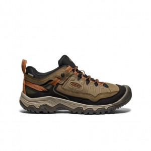 Olive Black Men Keen Targhee IV Wide Waterproof Hiking Shoes | EUK5648EN